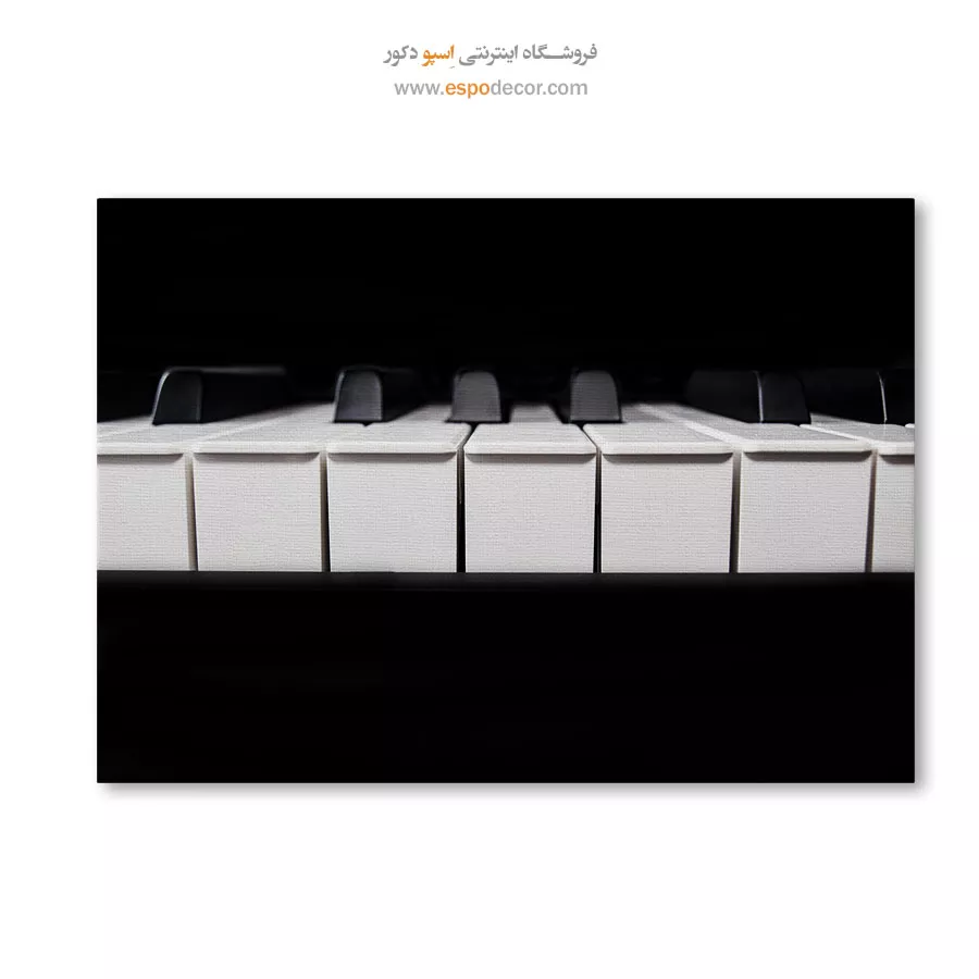 تابلو برای استودیو - ریتمیک – تابلو سیاه و سفید - اسپو دکور