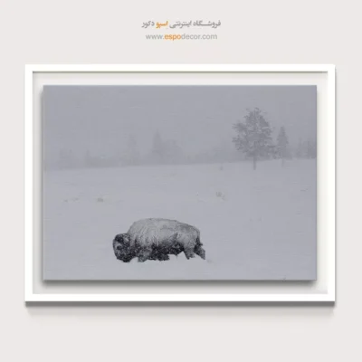 تابلو هنری با حس مینیمال - روح زمستان – تابلو سیاه و سفید - اسپو دکور