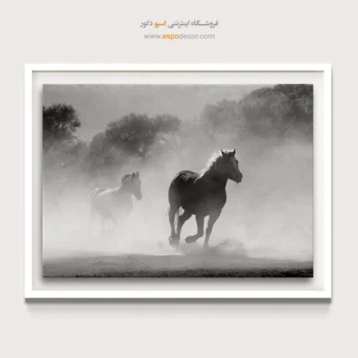 تابلو اسب وحشی سیاه سفید - آزادی در غبار – تابلو سیاه و سفید - اسپو دکور