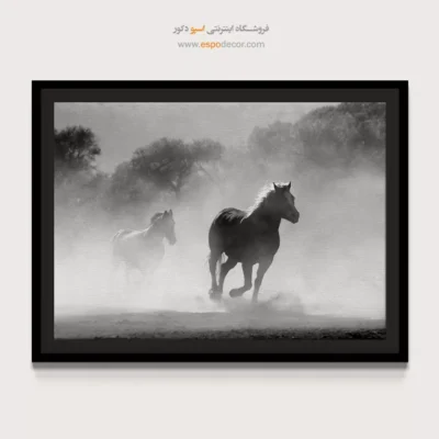 تابلو اسب وحشی سیاه سفید - آزادی در غبار – تابلو سیاه و سفید - اسپو دکور