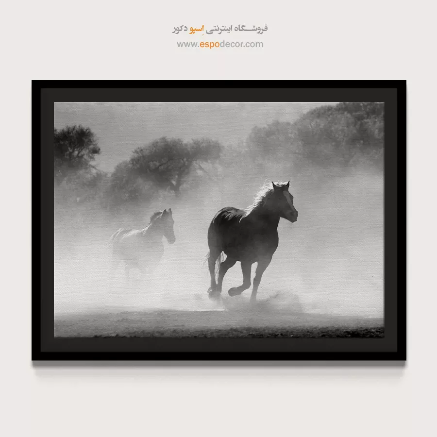 تابلو اسب وحشی سیاه سفید - آزادی در غبار – تابلو سیاه و سفید - اسپو دکور