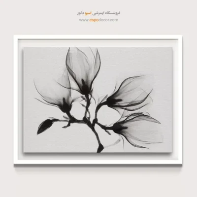 تابلو گل مگنولیا سیاه و سفید - شفافیت – تابلو سیاه و سفید - اسپو دکور