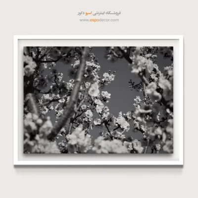 تابلو شکوفه‌های بهاری - بیداری بهار – تابلو سیاه و سفید - اسپو دکور