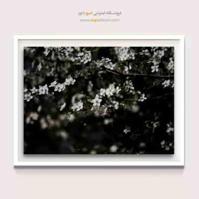 تابلو طبیعت احساسی - شکوفه‌ نیمه‌شب – تابلو سیاه و سفید - اسپو دکور
