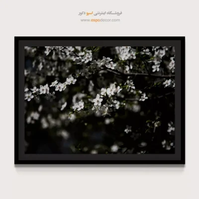 تابلو طبیعت احساسی - شکوفه‌ نیمه‌شب – تابلو سیاه و سفید - اسپو دکور