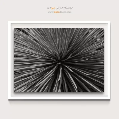 تابلو دیواری انتزاعی بافت - انفجار شعاعی – تابلو سیاه و سفید - اسپو دکور