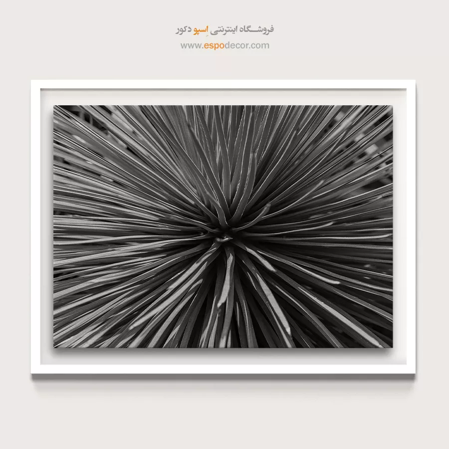 تابلو دیواری انتزاعی بافت - انفجار شعاعی – تابلو سیاه و سفید - اسپو دکور