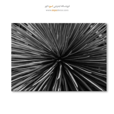 تابلو دیواری انتزاعی بافت - انفجار شعاعی – تابلو سیاه و سفید - اسپو دکور