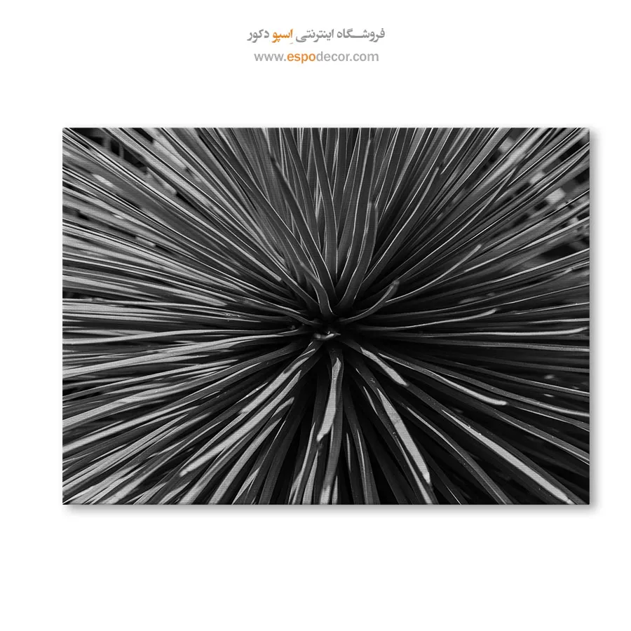 تابلو دیواری انتزاعی بافت - انفجار شعاعی – تابلو سیاه و سفید - اسپو دکور