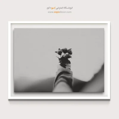 دکور سیاه و سفید - پیشکش – تابلو سیاه و سفید - اسپو دکور