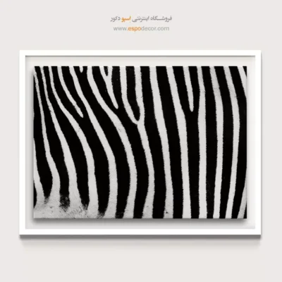 تابلو گور خری سیاه و سفید - بافت خطی – تابلو سیاه و سفید - اسپو دکور