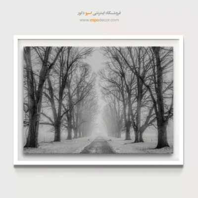 تابلو سیاه و سفید طبیعت زمستانی - سکوت زمستان – تابلو سیاه و سفید - اسپو دکور