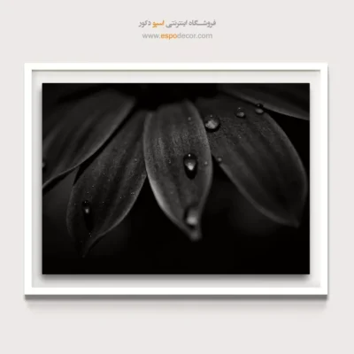 تابلو دیواری انتزاعی - شبنم – تابلو سیاه و سفید - اسپو دکور