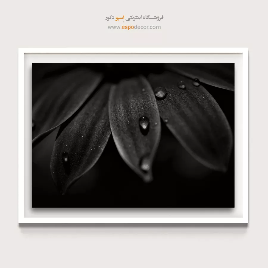 تابلو دیواری انتزاعی - شبنم – تابلو سیاه و سفید - اسپو دکور
