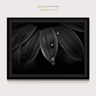 تابلو دیواری انتزاعی - شبنم – تابلو سیاه و سفید - اسپو دکور
