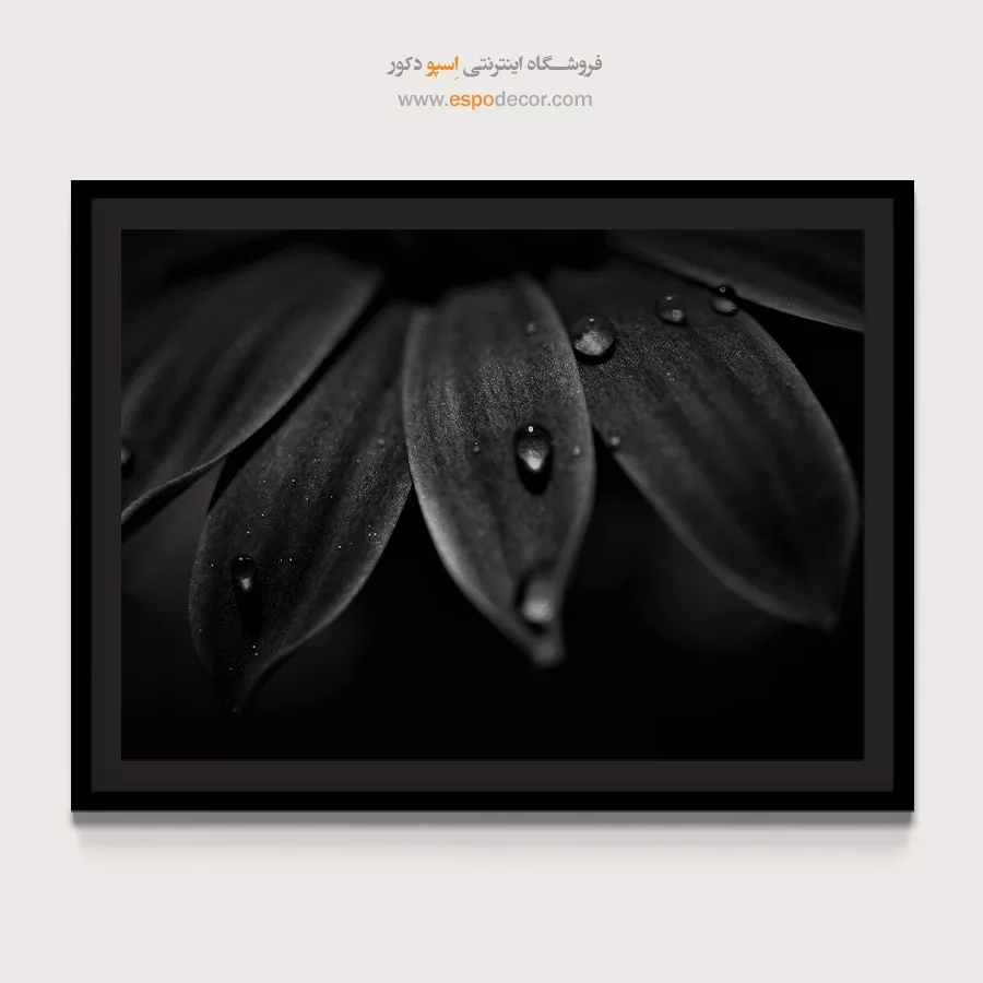 تابلو دیواری انتزاعی - شبنم – تابلو سیاه و سفید - اسپو دکور
