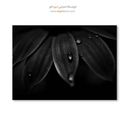 تابلو دیواری انتزاعی - شبنم – تابلو سیاه و سفید - اسپو دکور