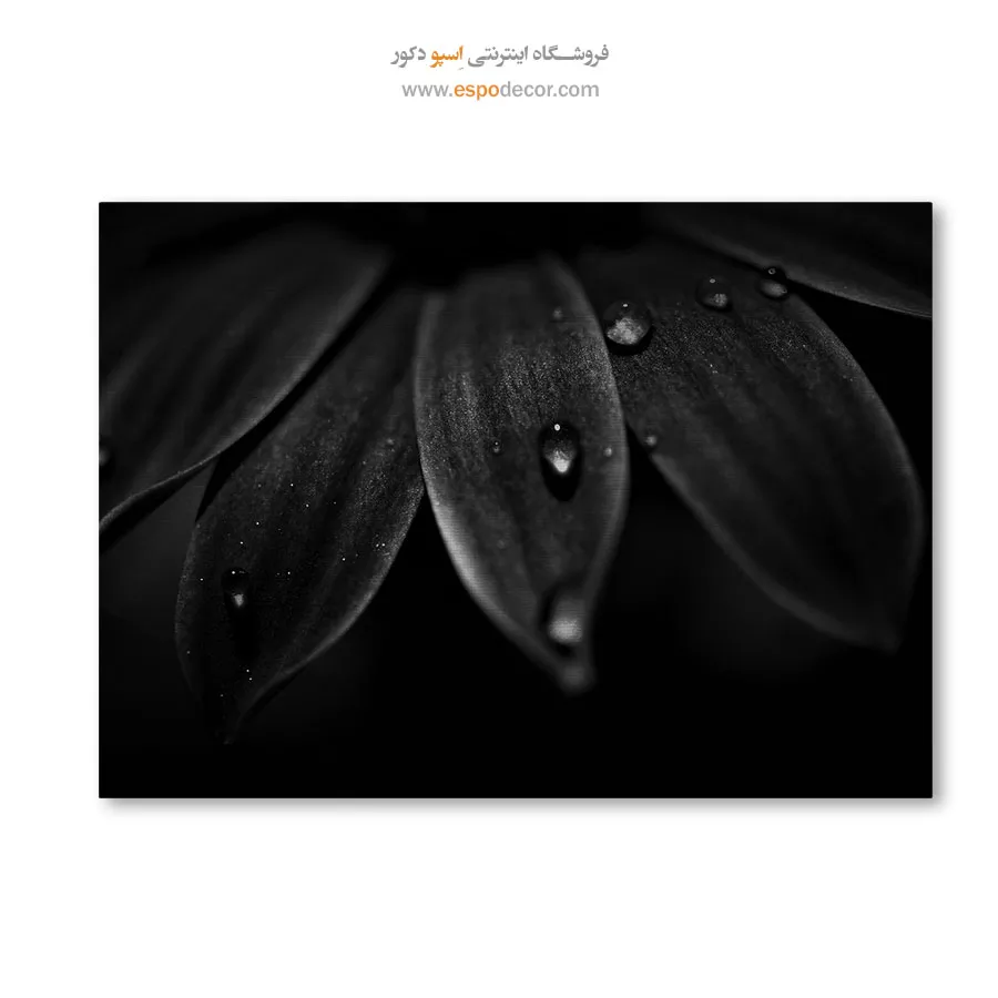 تابلو دیواری انتزاعی - شبنم – تابلو سیاه و سفید - اسپو دکور