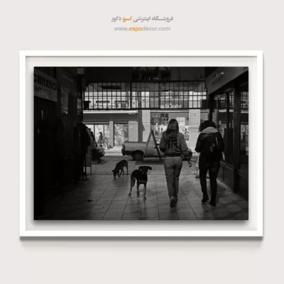 تابلو عکاسی خیابانی سیاه و سفید - سگ های شهر – تابلو سیاه و سفید - اسپو دکور