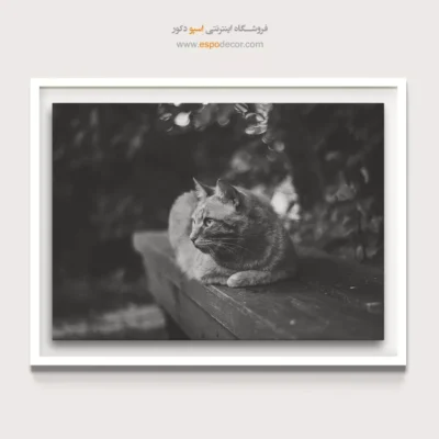 تابلو سیاه و سفید برای گالری - استراحت – تابلو سیاه و سفید - اسپو دکور