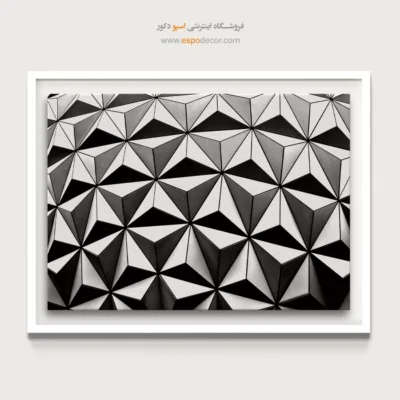 تابلو دیواری ساده و مدرن - شبکه‌ی ژئودزیک – تابلو سیاه و سفید - اسپو دکور
