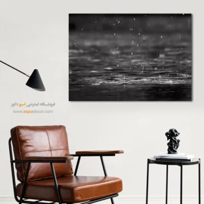 تابلو سیاه و سفید برای رستوران - رقص قطره‌ها – تابلو سیاه و سفید - اسپو دکور