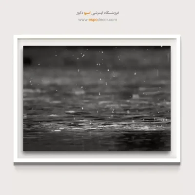 تابلو سیاه و سفید برای رستوران - رقص قطرهها – تابلو سیاه و سفید - اسپو دکور