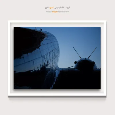 خرید اینترنتی تابلو بوم شیک - پوسته‌ – تابلو سیاه و سفید - اسپو دکور