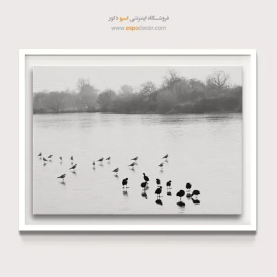 تابلو مدرن سیاه و سفید مخصوص پذیرایی - مجمع پرندگان – تابلو سیاه و سفید - اسپو دکور