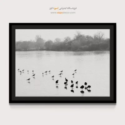 تابلو مدرن سیاه و سفید مخصوص پذیرایی - مجمع پرندگان – تابلو سیاه و سفید - اسپو دکور