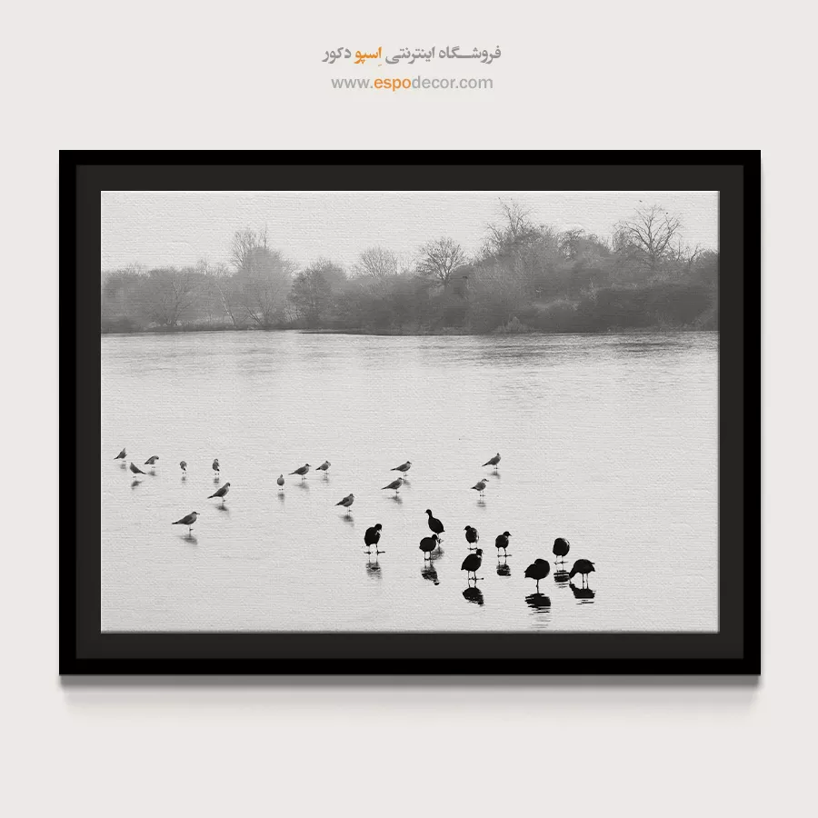 تابلو مدرن سیاه و سفید مخصوص پذیرایی - مجمع پرندگان – تابلو سیاه و سفید - اسپو دکور