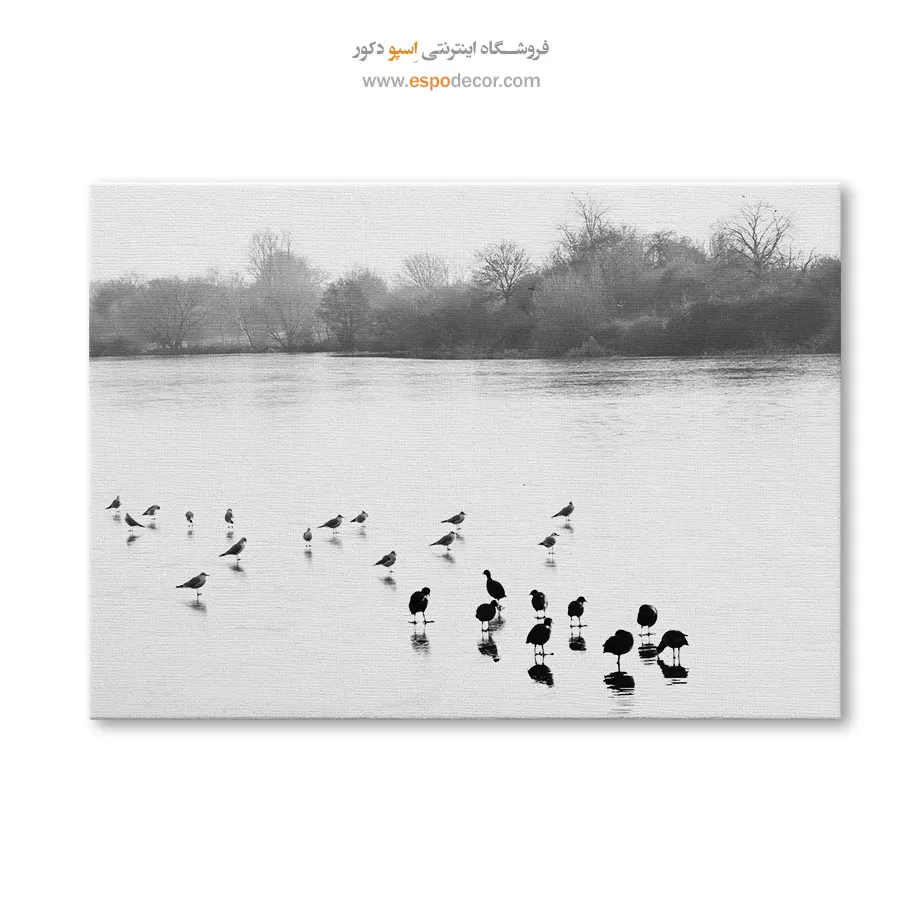 تابلو مدرن سیاه و سفید مخصوص پذیرایی - مجمع پرندگان – تابلو سیاه و سفید - اسپو دکور