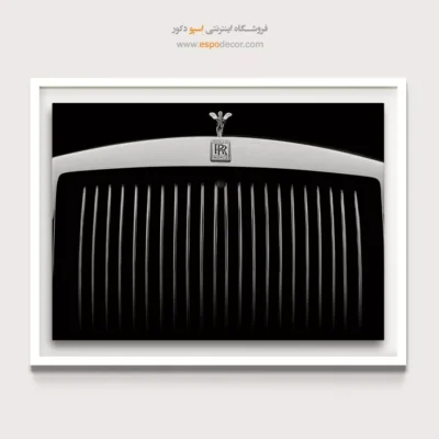 تابلو بوم مینیمال مدرن - روح خلسه – تابلو سیاه و سفید - اسپو دکور