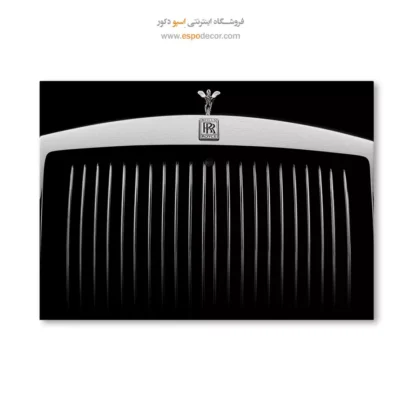 تابلو بوم مینیمال مدرن - روح خلسه – تابلو سیاه و سفید - اسپو دکور