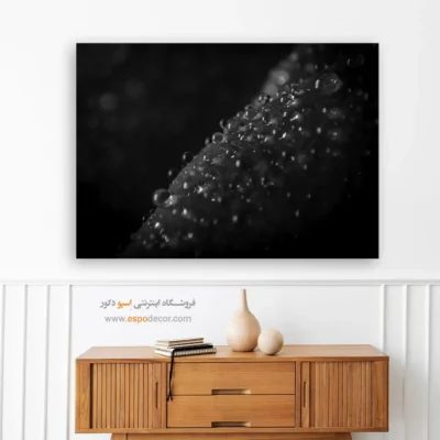 خرید تابلو سیاه و سفید دکوراسیون - الماس‌های خفته – تابلو سیاه و سفید - اسپو دکور
