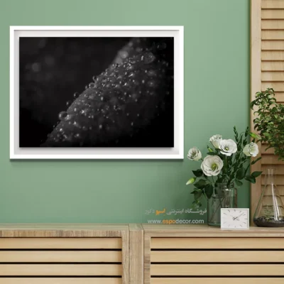 خرید تابلو سیاه و سفید دکوراسیون - الماس‌های خفته – تابلو سیاه و سفید - اسپو دکور