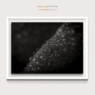 خرید تابلو سیاه و سفید دکوراسیون - الماس‌های خفته – تابلو سیاه و سفید - اسپو دکور