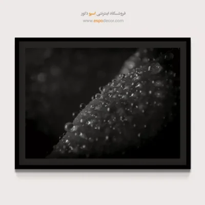 خرید تابلو سیاه و سفید دکوراسیون - الماس‌های خفته – تابلو سیاه و سفید - اسپو دکور