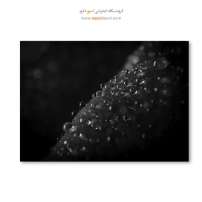 خرید تابلو سیاه و سفید دکوراسیون - الماس‌های خفته – تابلو سیاه و سفید - اسپو دکور