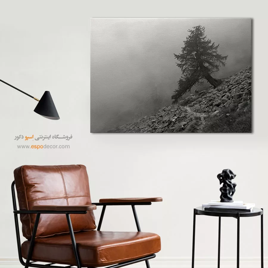 خرید هدیه برای خانه نویی - مسیر سنگی – تابلو سیاه و سفید - اسپو دکور