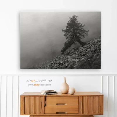 خرید هدیه برای خانه نویی - مسیر سنگی – تابلو سیاه و سفید - اسپو دکور