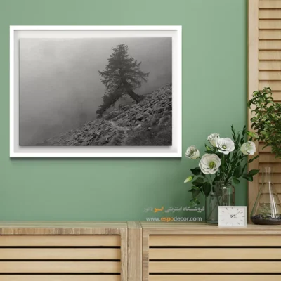 خرید هدیه برای خانه نویی - مسیر سنگی – تابلو سیاه و سفید - اسپو دکور