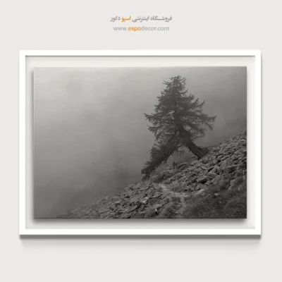 خرید هدیه برای خانه نویی - مسیر سنگی – تابلو سیاه و سفید - اسپو دکور