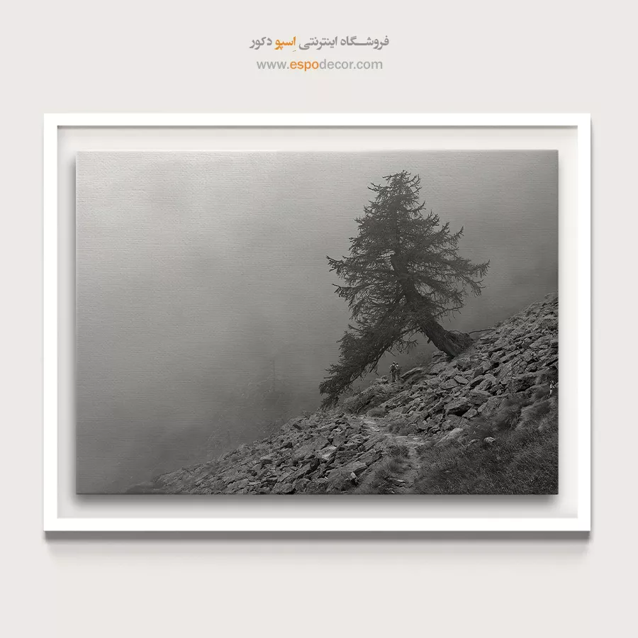 خرید هدیه برای خانه نویی - مسیر سنگی – تابلو سیاه و سفید - اسپو دکور
