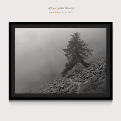 خرید هدیه برای خانه نویی - مسیر سنگی – تابلو سیاه و سفید - اسپو دکور