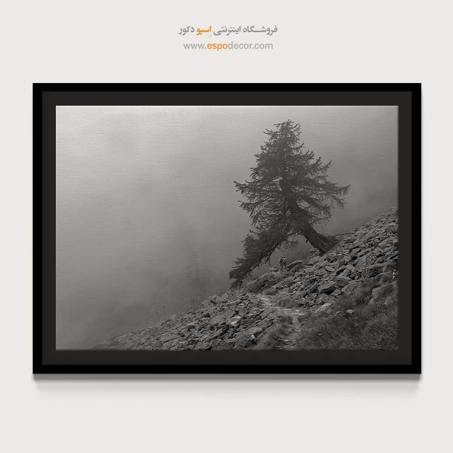 خرید هدیه برای خانه نویی - مسیر سنگی – تابلو سیاه و سفید - اسپو دکور