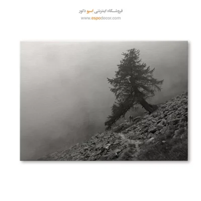 خرید هدیه برای خانه نویی - مسیر سنگی – تابلو سیاه و سفید - اسپو دکور