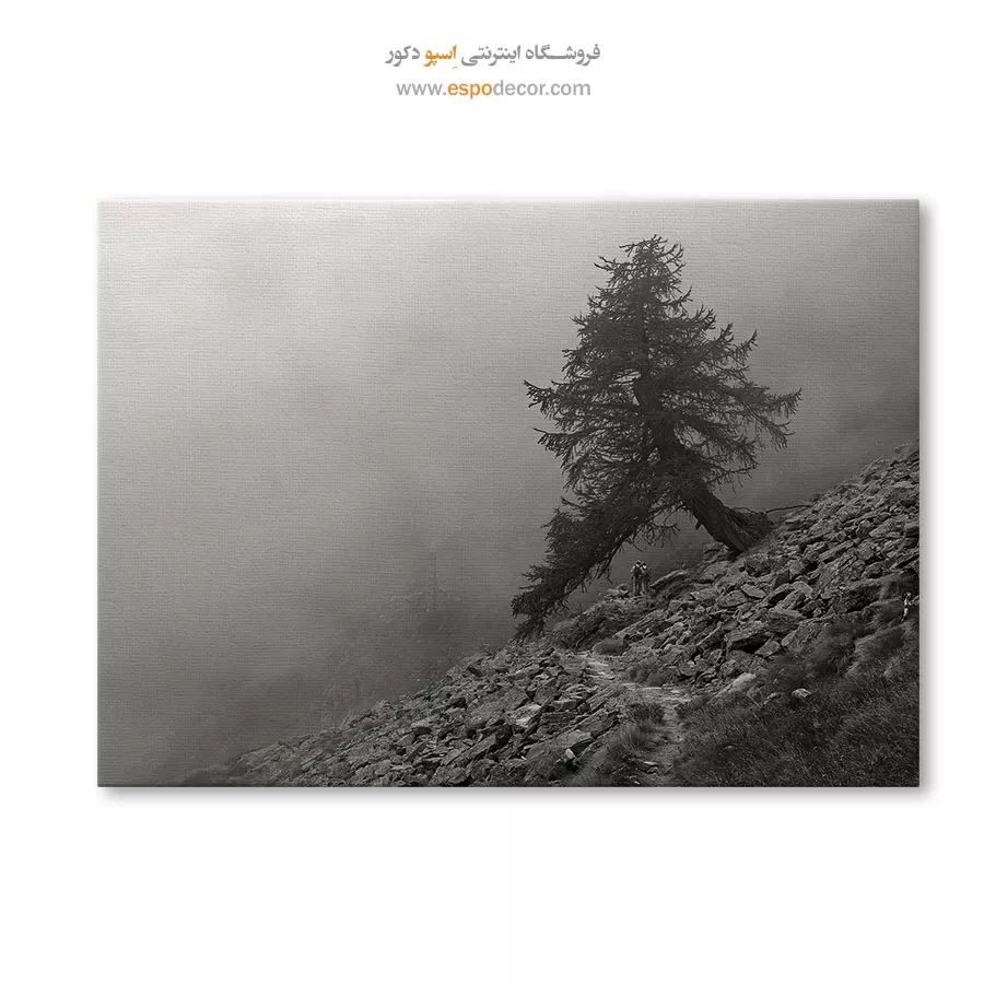 خرید هدیه برای خانه نویی - مسیر سنگی – تابلو سیاه و سفید - اسپو دکور