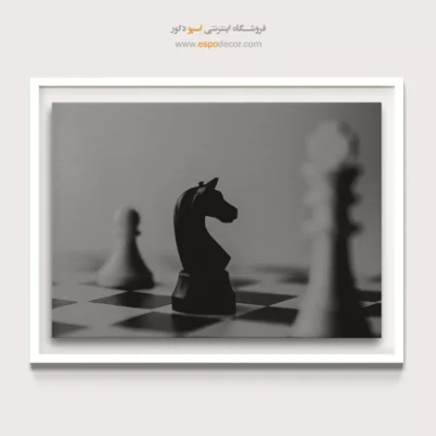 خرید تابلو سیاه و سفید لوکس - استراتژیک – تابلو سیاه و سفید - اسپو دکور