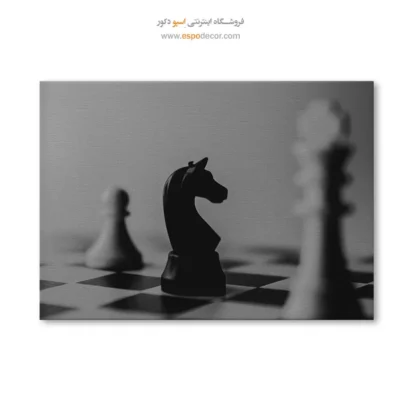 خرید تابلو سیاه و سفید لوکس - استراتژیک – تابلو سیاه و سفید - اسپو دکور